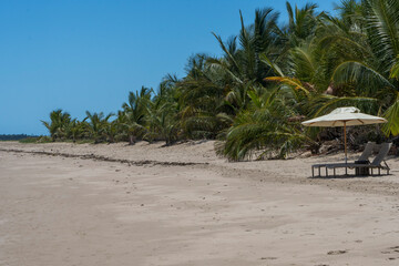 Playa desierta con palmeras y reposeras en Maragogi, Brasil