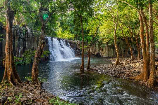 Rochester Falls cascading over basalt columns tropical forest, Mauritius