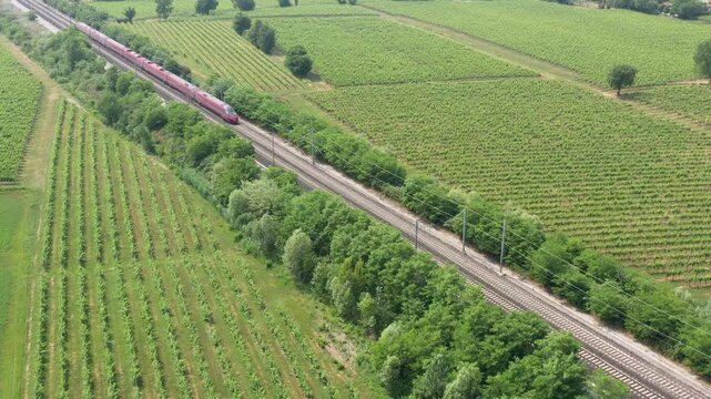 A high-speed Italian Red train streaks across a picturesque vineyard landscape, captured in stunning aerial motion. A perfect blend of speed and nature.