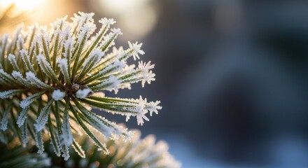 Frost-covered pine needles in close-up, intricate ice crystals and soft sunlight in cold natural setting