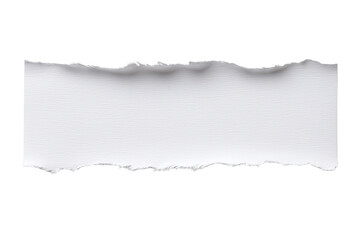 Torn white paper strip showcasing texture and edges, perfect for creative projects, designs, or backgrounds on transparent background