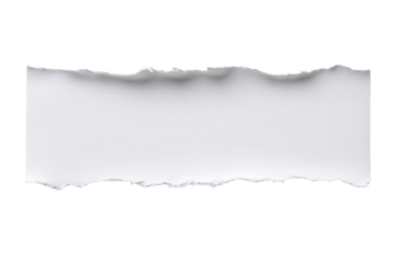 Torn white paper strip showcasing texture and edges, perfect for creative projects, designs, or backgrounds on transparent background