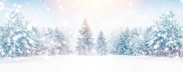 Snow on the trees. Winter landscape. Snowfall in the forest.