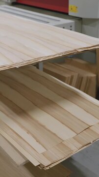 Stacked lumber fills a warehouse, neatly arranged on shelving. Concept of resourcefulness, construction materials, or sustainable forestry is conveyed.