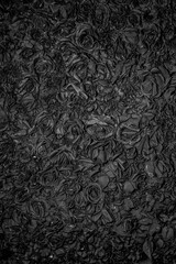 黒いバラの花壁／Black Rose Flower Wall