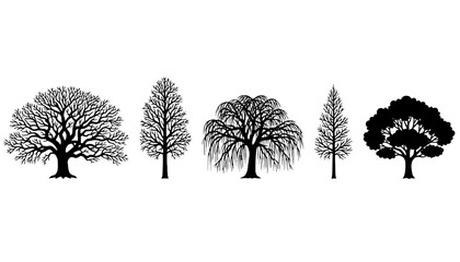 Bare Deciduous Tree Silhouette Vector