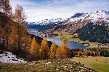 Alpine Valley Golden Larches Snow Dusted Peaks Under Expansive Blue Sky, Winding Hiking Trail Through Colorful Meadow And Rocky Ridge, Crisp Autumn. Autumn panorama in Davos with a view of the lake.