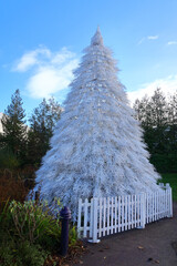 A beautiful White Christmas tree