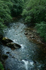 Mountain river with visible stones surrounded by lush green vegetation, viewed from above. Northern Spain region 