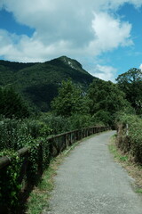 Scenic hiking trail with a wooden fence leading into the distance, surrounded by lush vegetation, and forested mountains. Senda del Oso in Asturias, Northern Spain 