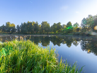 Calm lake with trees in the background