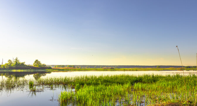 Calm lake with a few trees in the background - Powered by Adobe