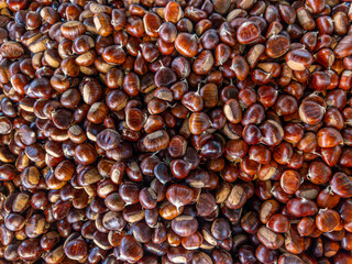 Chestnuts arranged as a full-size background, backgrounds with textures of chestnuts