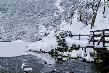 Morskie Oko Lake Covered in Ice at Winter in Tatra Mountains Poland. © ngchiyui