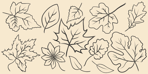 Leaf uniqe line art simple icon vector illustration