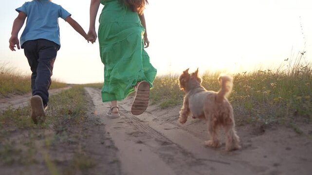 Woman and child walking down dirt road. Woman is walking dog outdoors with child. Family and friends in a field of nature at sunset. A girl and a woman strolling along a gravel lifestyle path.