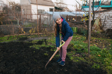 A photograph of a beautiful teenage girl digging with a shovel in a vegetable garden outdoors. Agricultural concept.