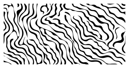 Fototapeta premium Abstract wavy lines texture, organic zebra pattern or wood grain vector background