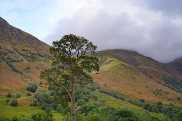Glen Nevis in the Scottish highlands. Glen Nevis is a valley near Fort William 