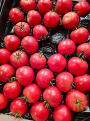 Red tomatoes in a packaging. Fresh vegetables at grocery store