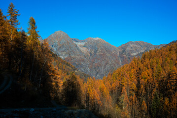 Panorama di montagna in Italia con i colori autunnali del foliage