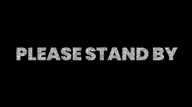 Please Stand By Retro Television Broadcast Static Text Animation on Black Background