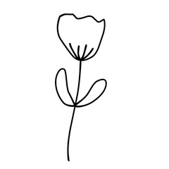 Simple floral illustration with leaves and decorative petals, suitable for botanical themes, wedding designs, nature elements, and decorative graphics.