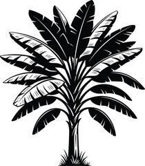 Banana tree silhouette vector, tropical plant illustration, botanical black white artwork, exotic leaf design, nature graphic foliage art