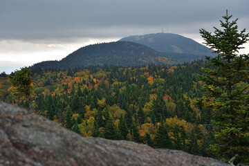 Orford mountain on a cloudy fall day. Low visibility on Pic de l'ours hiking trail.