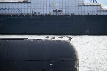Russian Submarine in the Hamburg Port. Old russian submarine with seagulls at the Hamburg Harbor. Landungsbrücken.