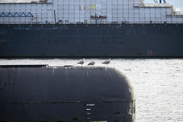 Russian Submarine in the Hamburg Port. Old russian submarine with seagulls at the Hamburg Harbor. Landungsbrücken.