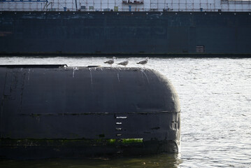 Russian Submarine in the Hamburg Port. Old russian submarine with seagulls at the Hamburg Harbor. Landungsbrücken.