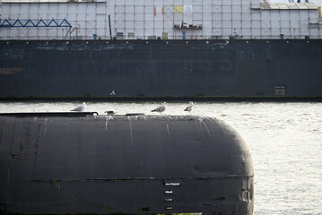 Russian Submarine in the Hamburg Port. Old russian submarine with seagulls at the Hamburg Harbor. Landungsbrücken.