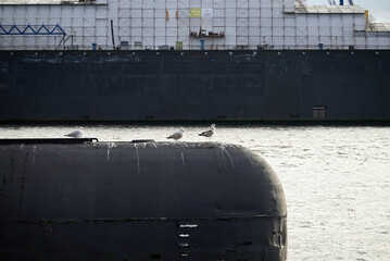 Russian Submarine in the Hamburg Port. Old russian submarine with seagulls at the Hamburg Harbor. Landungsbrücken.