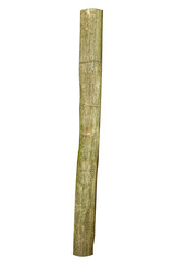 Weathered wooden post is isolated.