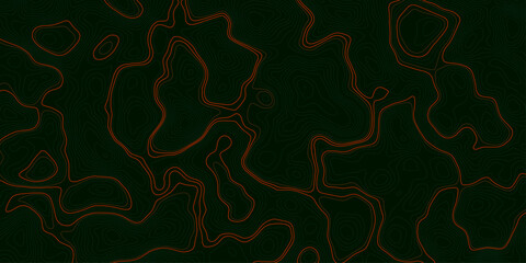 The concept of a conditional geography scheme and the terrain path. Topographic map. Geographic mountain relief. Abstract lines background. Contour maps. Vector illustration.	