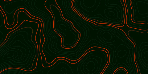 The concept of a conditional geography scheme and the terrain path. Topographic map. Geographic mountain relief. Abstract lines background. Contour maps. Vector illustration.	