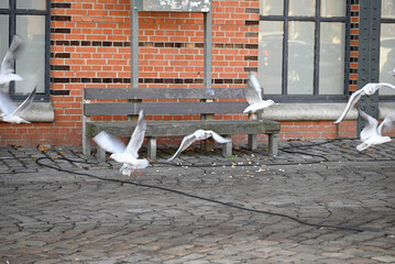 Nautic Vessels, Ships and Buildings at Hamburg Landungsbrücken. Fischauktionshalle. Silhouette.