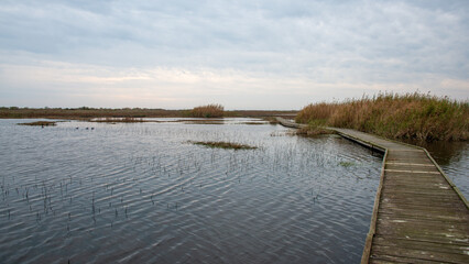 Sea Rim State Park in Texas