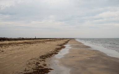 Sea Rim State Park in Texas