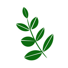 green leaves isolated on white background,Vector illustration of a simple, stylized green branch with oval leaves, symbolizing ecology, spring, or organic products