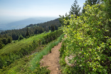 Obraz premium Landscape of Vitosha Mountain, Bulgaria