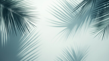 Obraz premium Palm leaves shadows on light wall background
