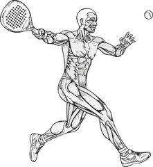 Anatomical illustration of a male padel player showing muscle structure while hitting a ball.