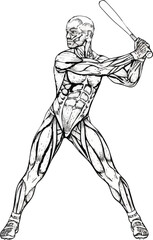 An anatomical illustration of a male baseball player swinging a bat, showing the &eacute;corch&eacute; muscular system.