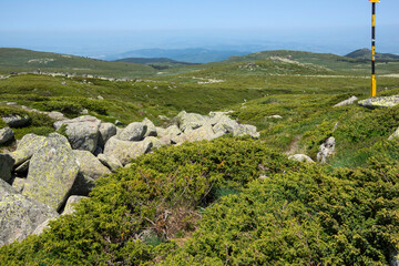 Landscape of Vitosha Mountain, Bulgaria