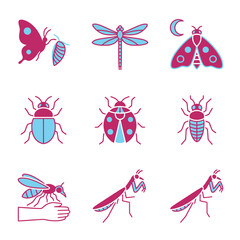 Brightly colored pink and blue insect icons set, including butterfly, praying mantis, and mosquito vector illustrations.
