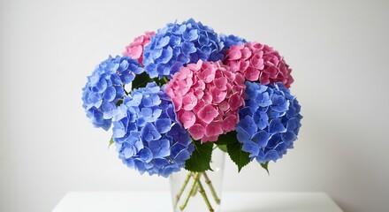 瑞々しい青とピンクの紫陽花が光を浴びて輝く透明な花瓶に生けられた美しい花束が部屋を明るく彩る. AI Generated