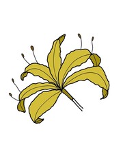 simple image of flowers