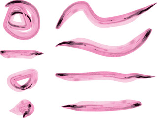 Pink Watercolor Brush Marks Pack